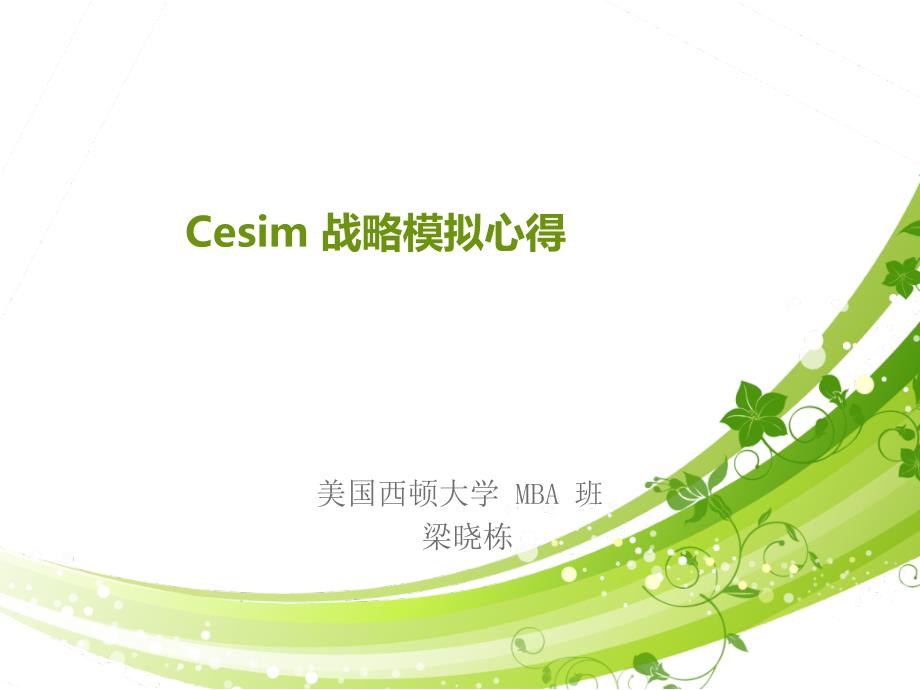 战略模拟软件CESIM全攻略.ppt_第1页