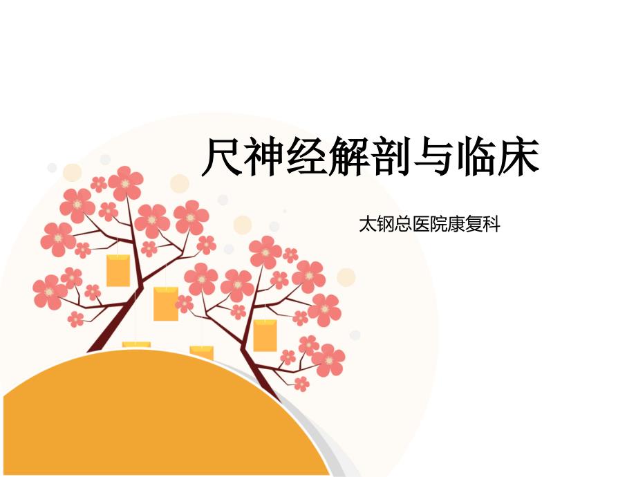 尺神经解剖及临床.ppt_第1页