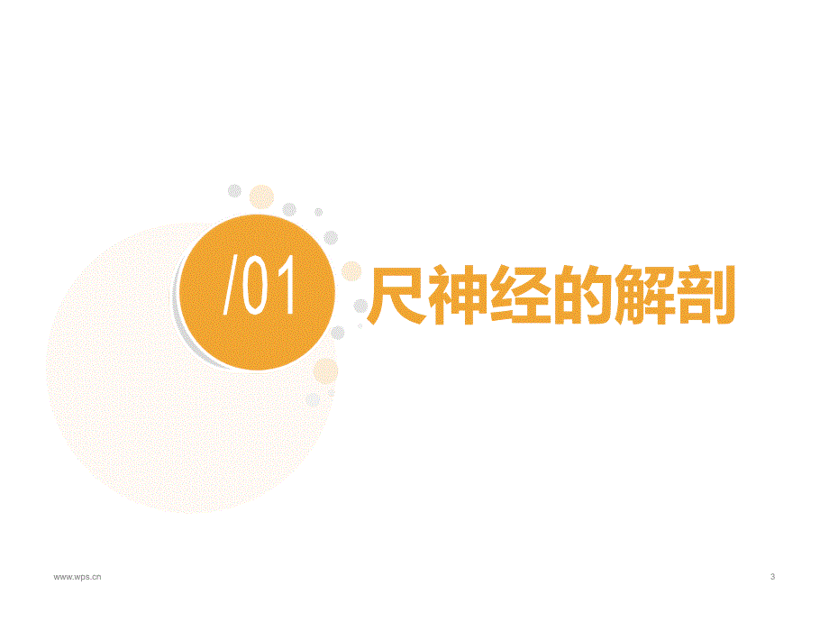 尺神经解剖及临床.ppt_第3页