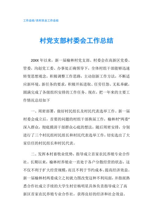 村党支部村委会工作总结.doc