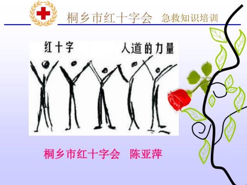溺水的现场救护PPT课件.ppt