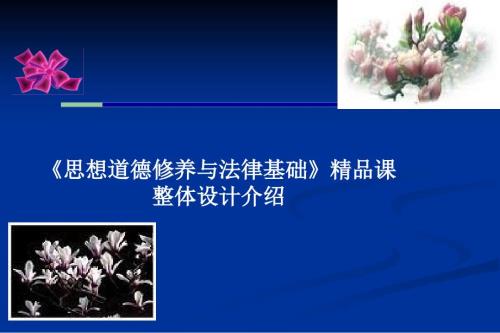 思想道德修养与法律基础精品课程整体设计介绍.ppt