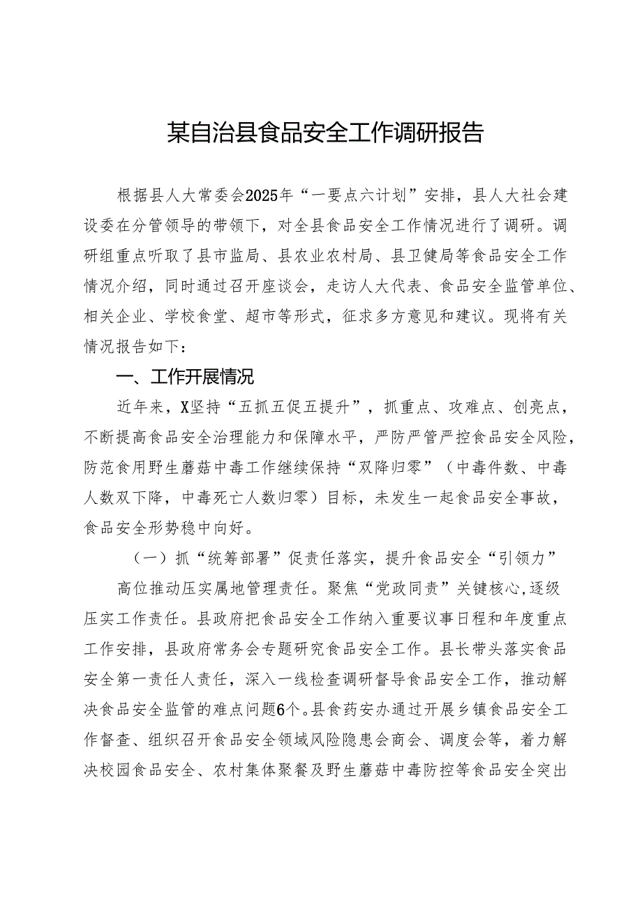 某自治县食品安全工作调研报告.docx_第1页
