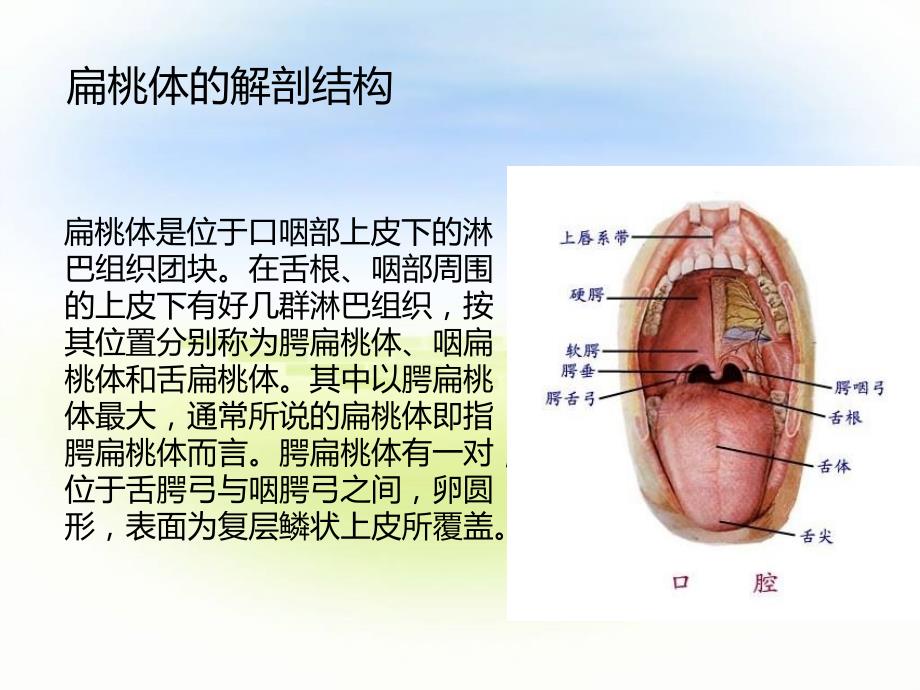扁桃体手术配合ppt课件.ppt_第2页