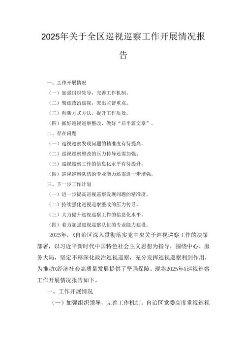 2025年关于全区巡视巡察工作开展情况报告.docx