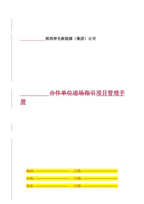 某新能源公司项目管理手册.docx