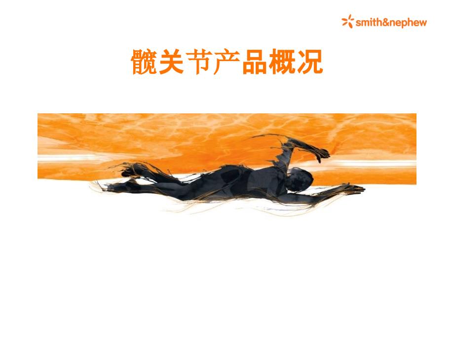 施乐辉髋关节PPT课件.ppt_第3页