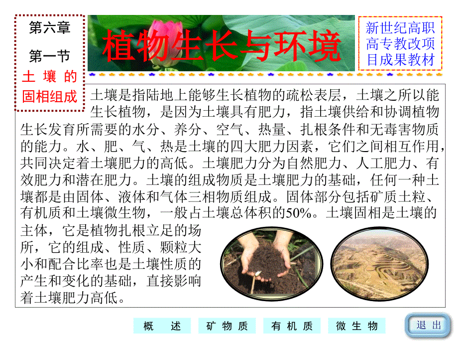 植物生长与土壤环境.ppt_第3页