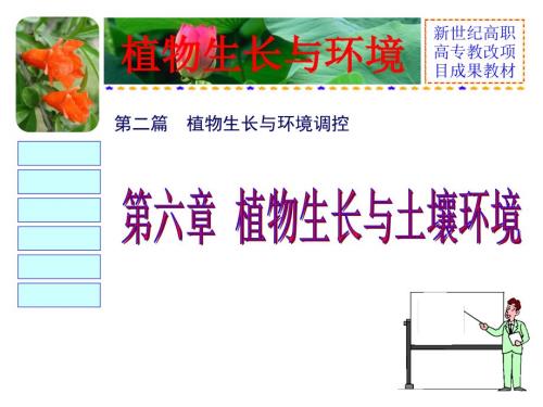 植物生长与土壤环境.ppt