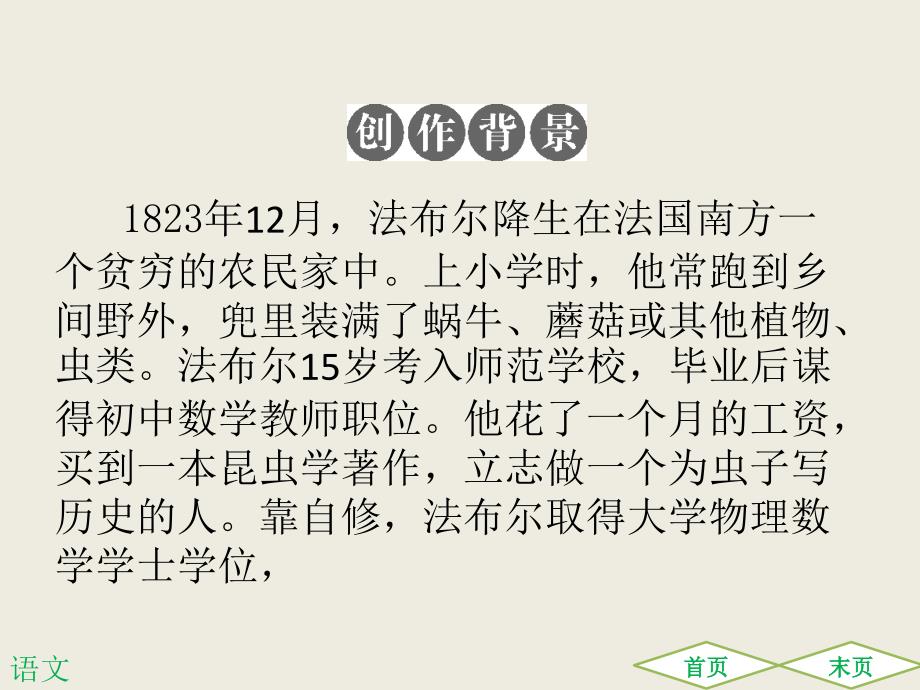 昆虫记共96张ppt.ppt_第3页