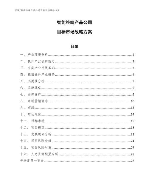 智能终端产品公司目标市场战略方案参考.docx