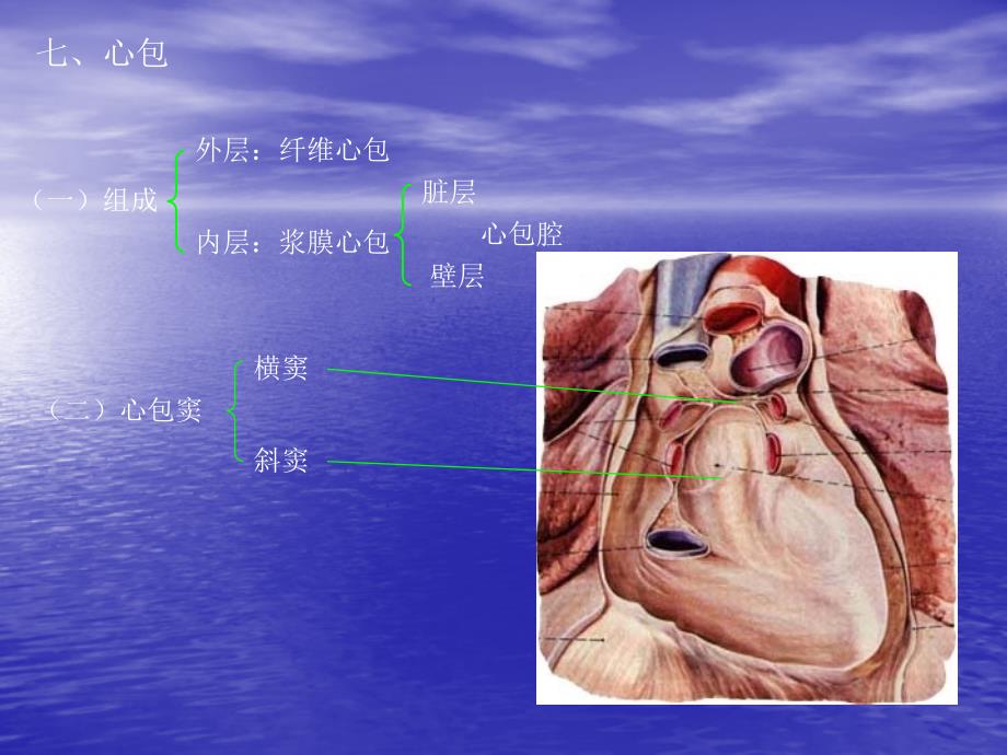 心包疾病幻灯ppt课件.ppt_第2页