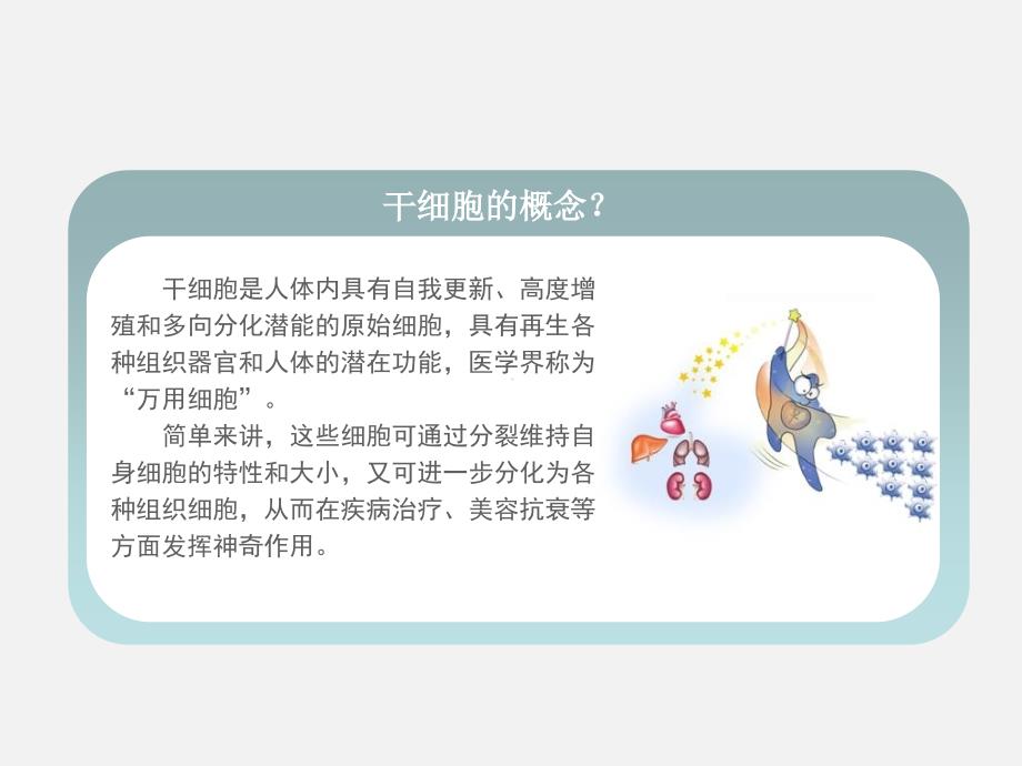 干细胞科普PPT课件.ppt_第2页