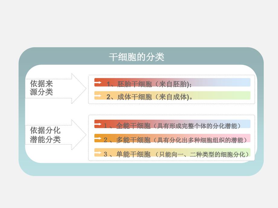 干细胞科普PPT课件.ppt_第3页