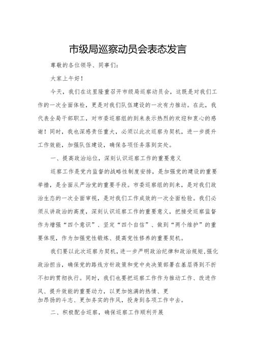 市级局巡察动员会表态发言2.docx