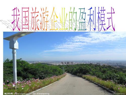 我国旅游企业的盈利模式.ppt