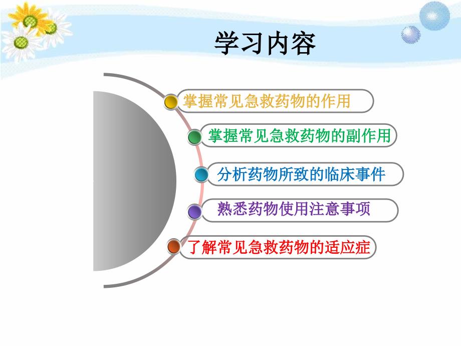 常见急救药物的临床应用与案例分析.ppt_第2页