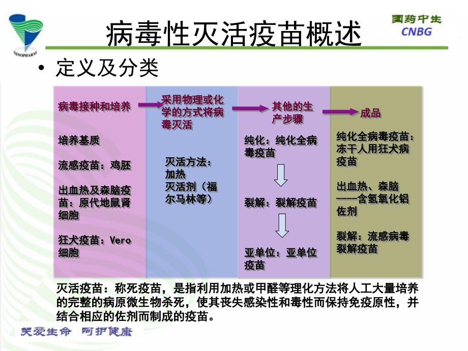 流感疫苗生产及研究进展.ppt_第3页
