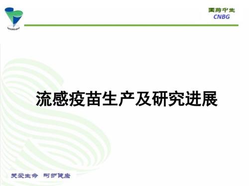 流感疫苗生产及研究进展.ppt