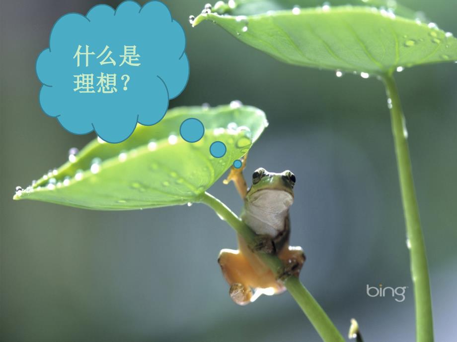 热爱祖国放飞理想主题班会PPT.ppt_第2页