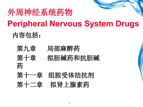 局部麻醉药.ppt