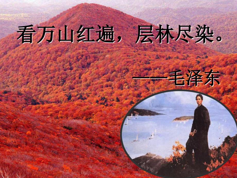 故都的一等奖PPT课件.ppt_第1页