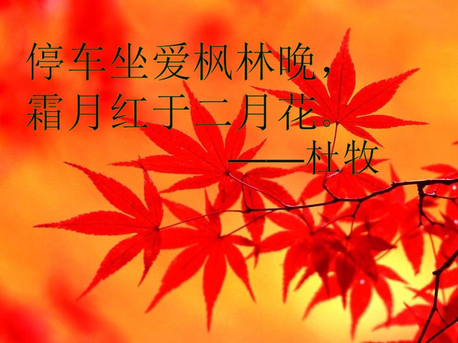 故都的一等奖PPT课件.ppt_第3页