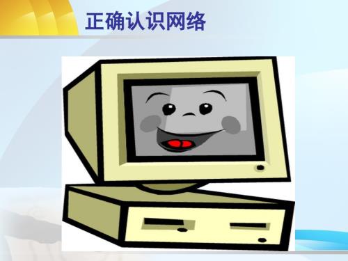 正确认识网络PPT课件.ppt