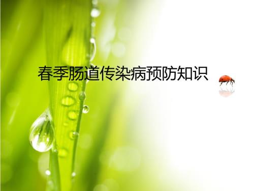 季肠道传染病预防知识.ppt