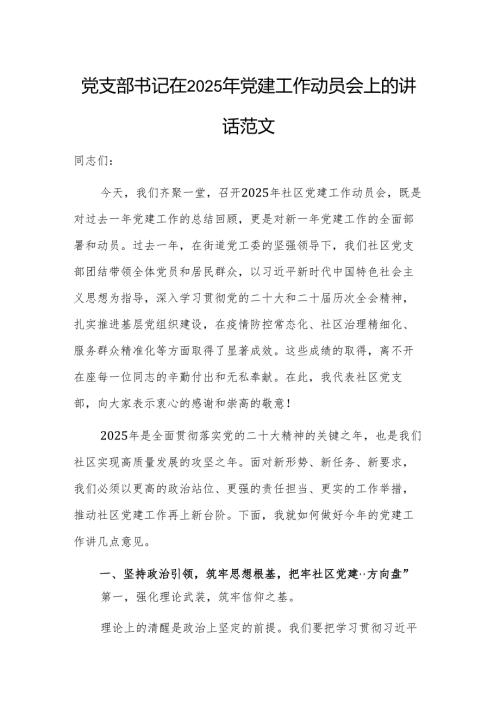 党支部书记在2025年党建工作动员会上的讲话范文.docx