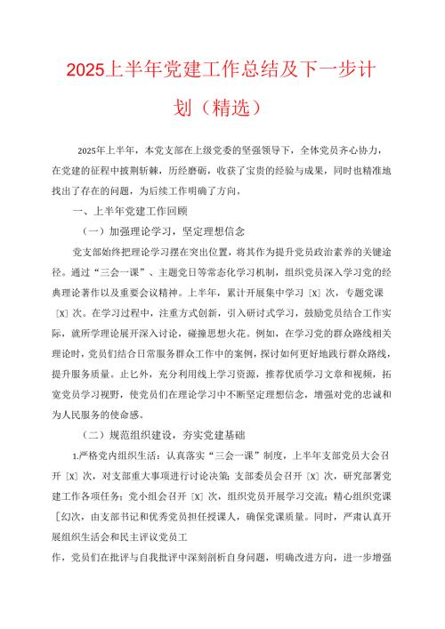 2025 上半年党建工作总结及下一步计划（精选）(1).docx