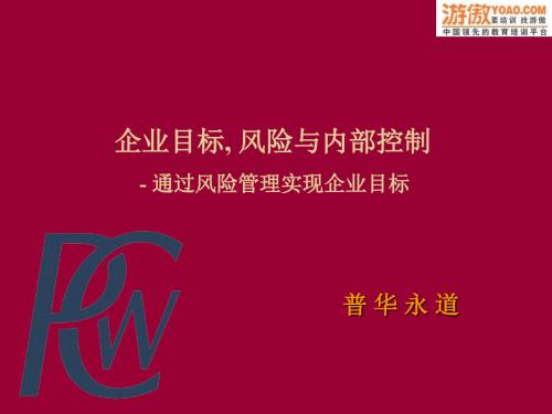 普华永道风险与内部控制.ppt