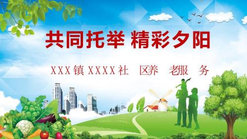 政府社区养老服务工作汇报PPT模板.pptx