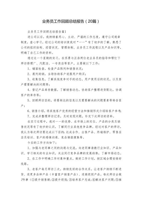 业务员工作回顾总结报告（20篇）.docx
