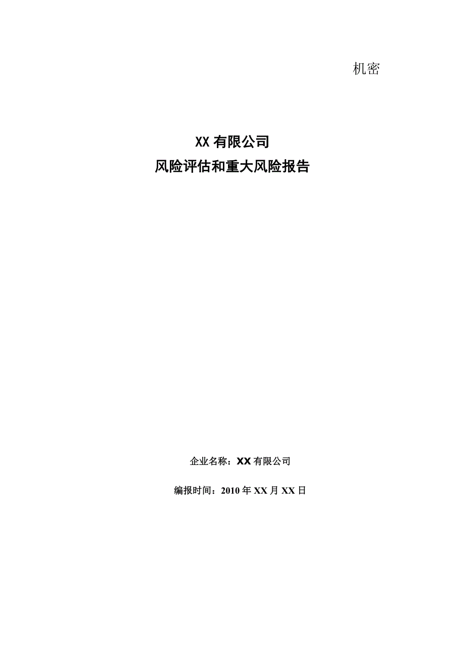成果XX公司风险评估和重大风险报告.doc_第1页