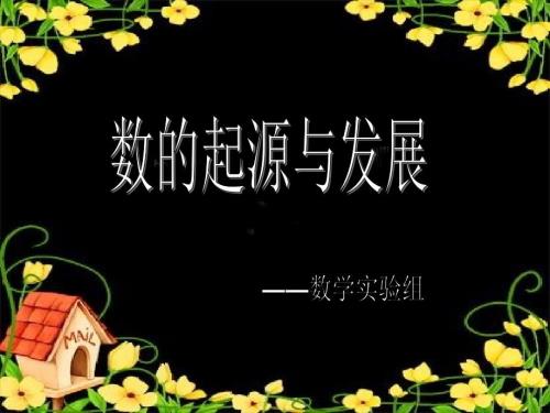 数的起源与发展.ppt
