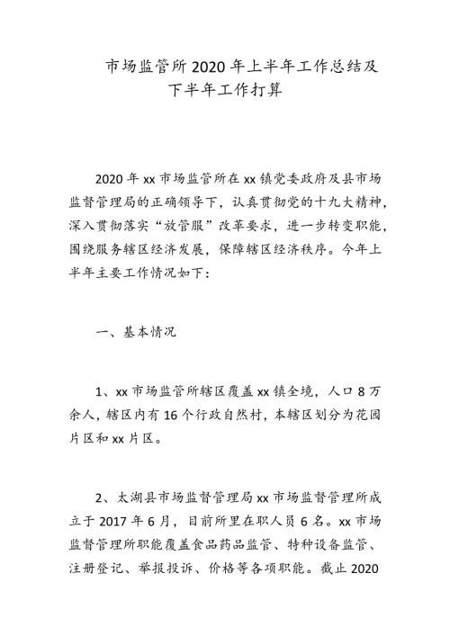 市场监管所2020年上半年工作总结及下半年工作打算.docx