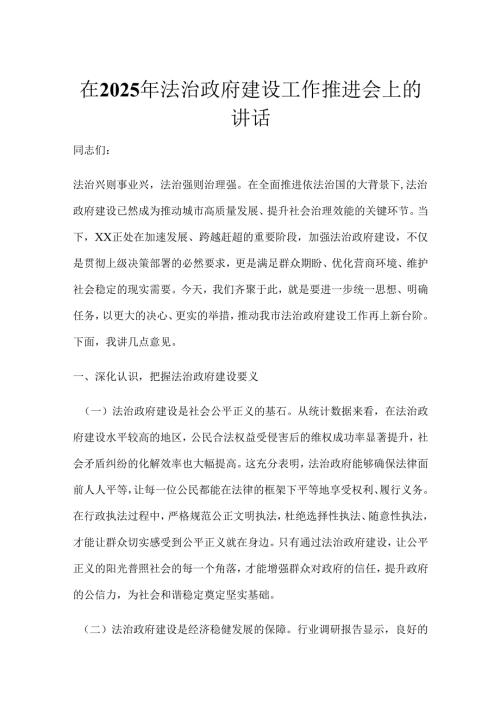 在2025年法治政府建设工作推进会上的讲话.docx