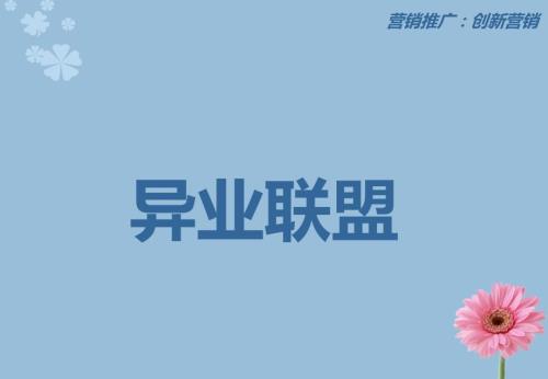 房地产异业联盟PPT课件.ppt