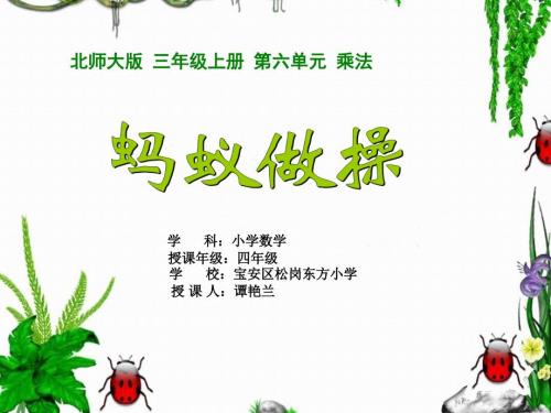 微课课件蚂蚁做操.ppt