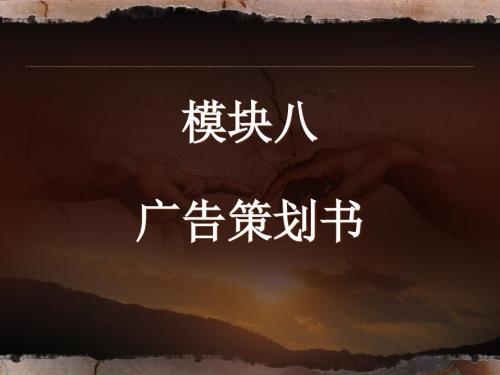 广告策划实操模块八广告策划书.ppt