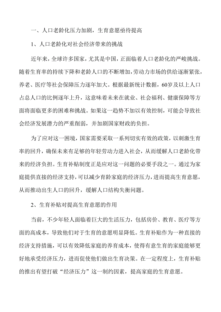 生育补贴政策落地实施方案.docx_第3页