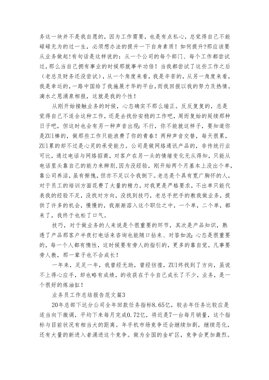 业务员工作总结报告范文（20篇）.docx_第3页