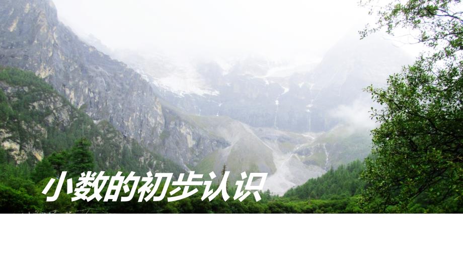 小数的初步认识说课.ppt_第1页