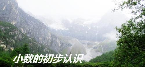 小数的初步认识说课.ppt
