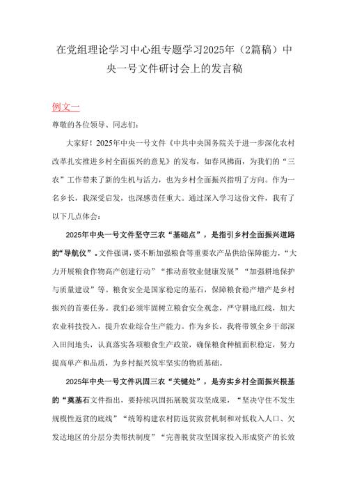 在党组理论学习中心组专题学习2025年（2篇稿）中央一号文件研讨会上的发言稿.docx