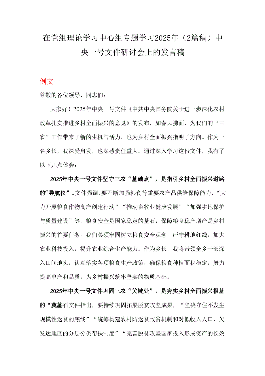 在党组理论学习中心组专题学习2025年（2篇稿）中央一号文件研讨会上的发言稿.docx_第1页