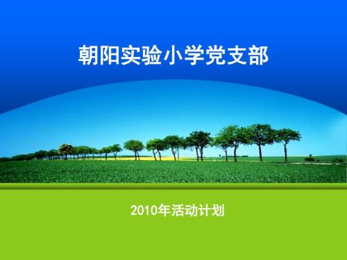 朝阳实验小学党支部.ppt