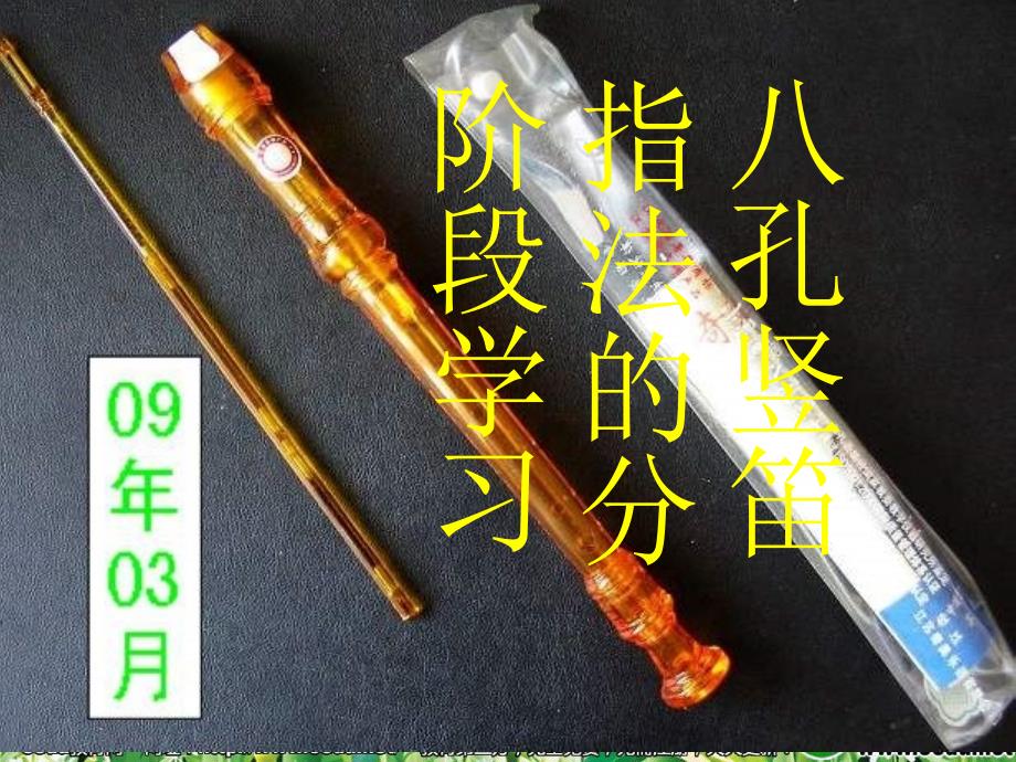 小学音乐八孔竖笛指法的分阶段练习.ppt_第1页