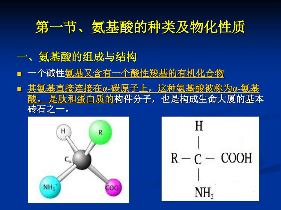 氨基酸类药物PPT课件.ppt_第3页